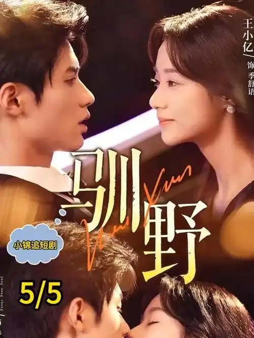同福里人家 热播电视剧全集免费观看